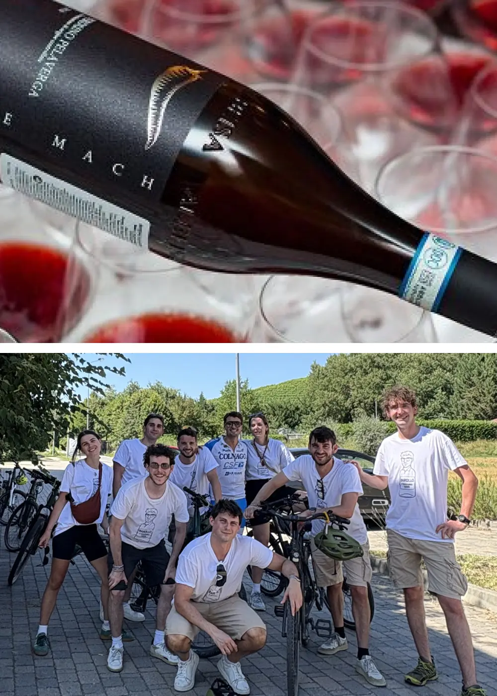 ragazzi in e-bike tra le vigne nelle Langhe – addio al celibato
