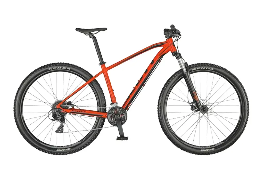 MTB Muscolare
