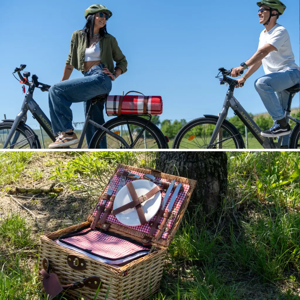 Vineyard Picnic by E-bike