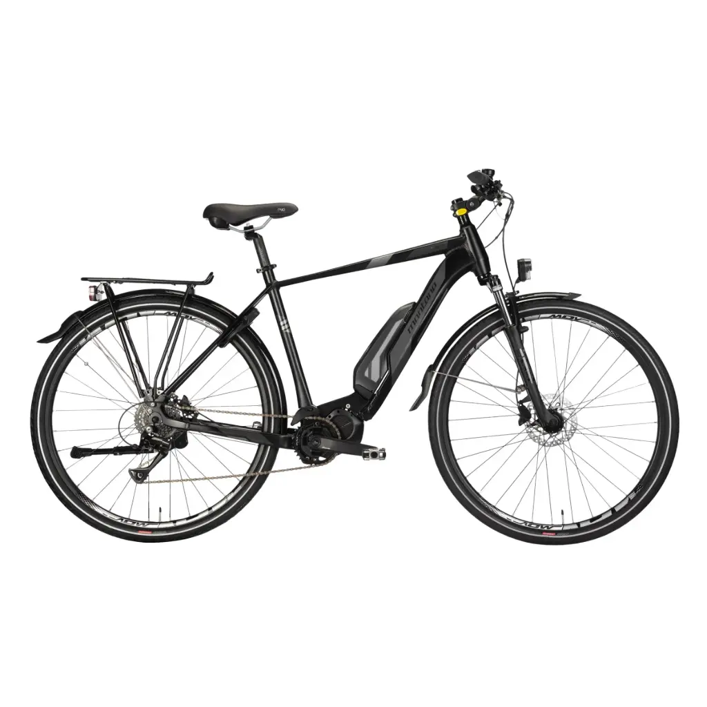 E-bike Trekking Montana