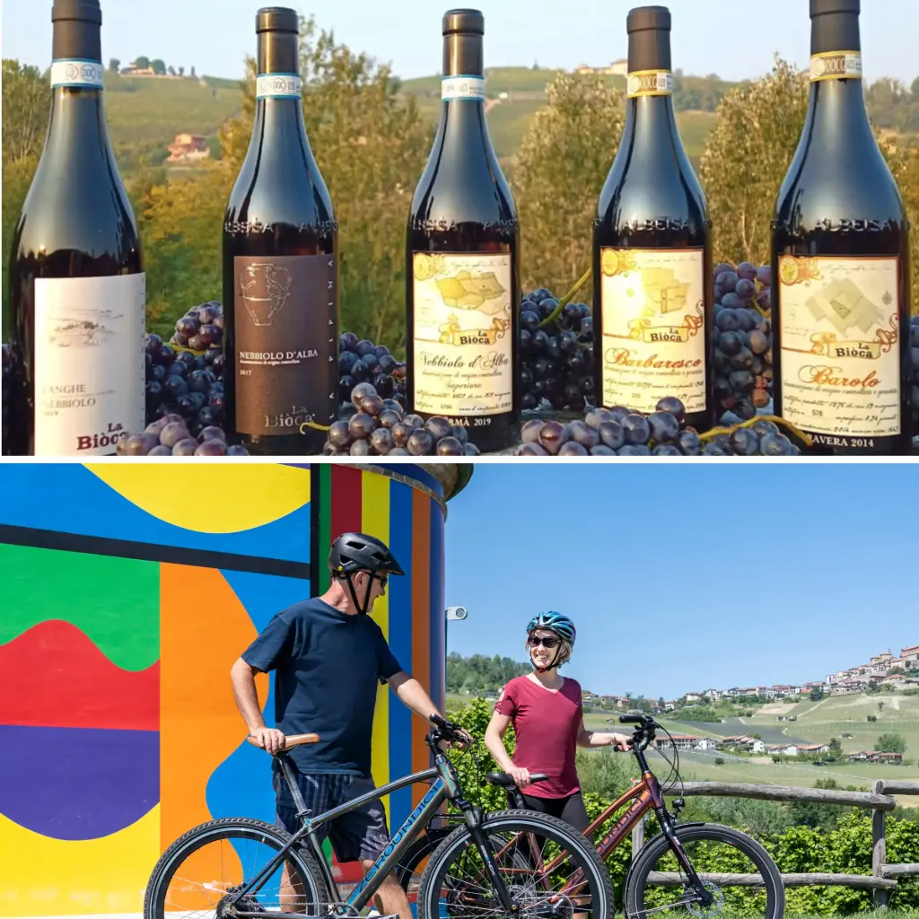 E-bike, Wines & Flavours of the Langhe