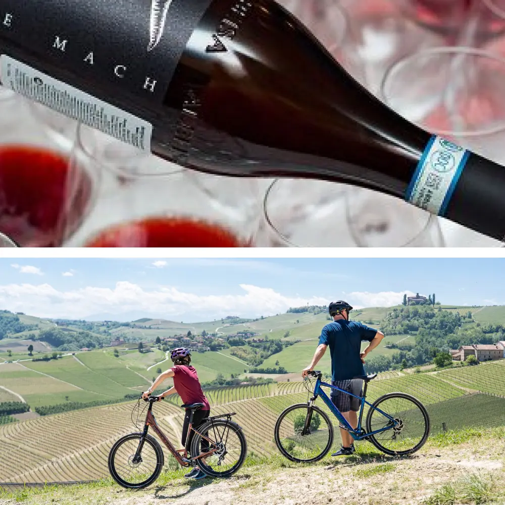 Tour in E-Bike e Degustazione