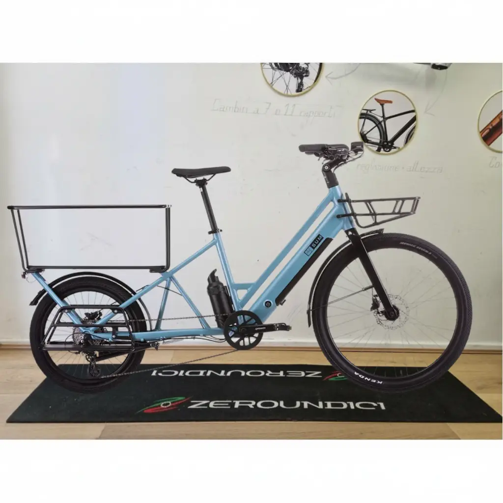 Cargo Family Bike 