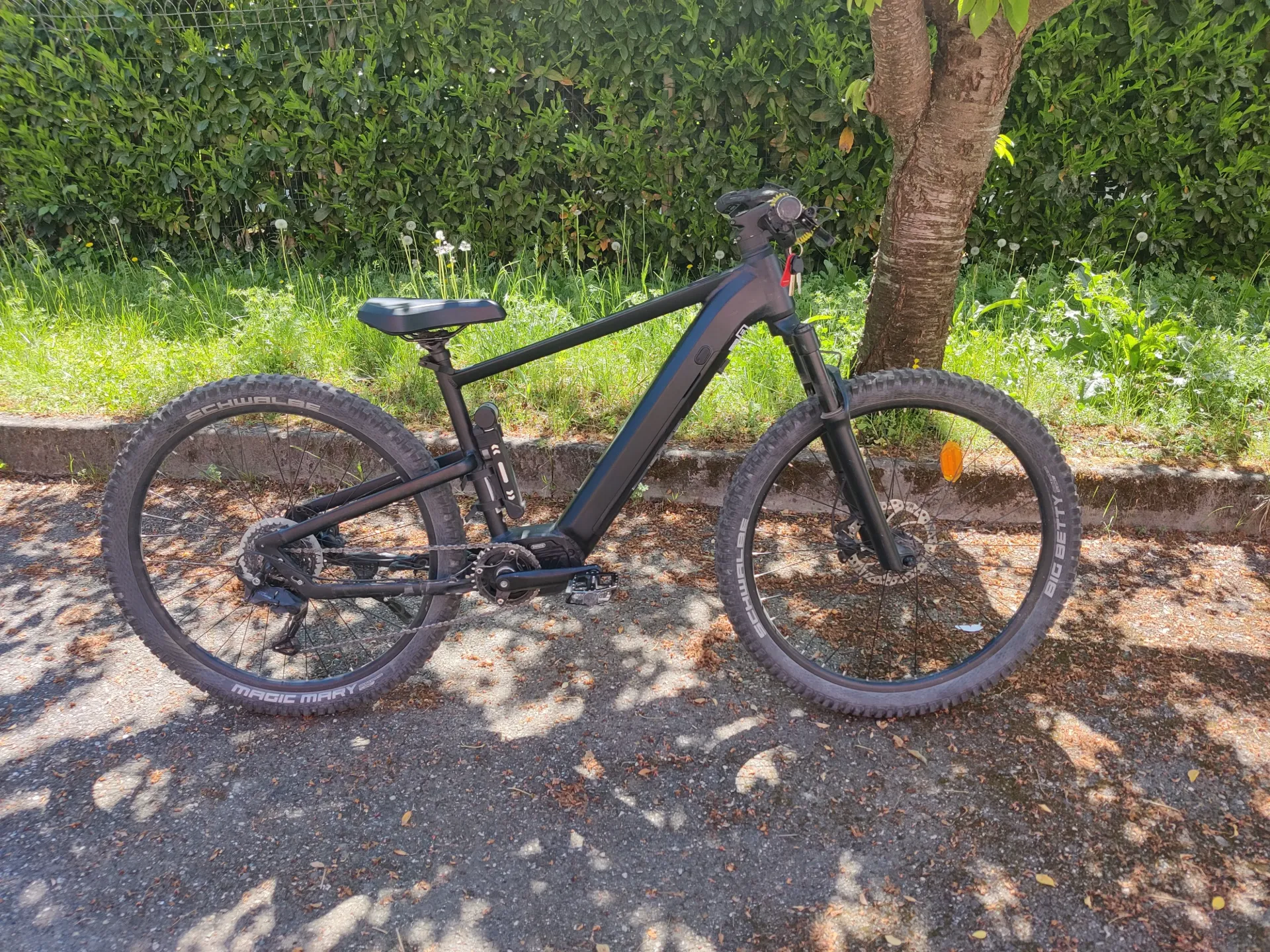 Mobilitas MTB 71
