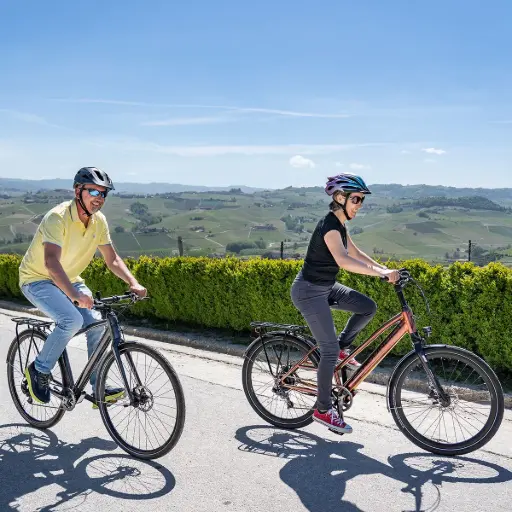 [ATL_Alba] E-bike rental | Alba