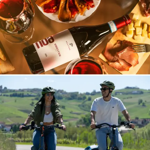 Il giro dei Cru in E-bikes