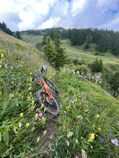 [PR_MAT] Noleggio mattutino | 09:00-13:00