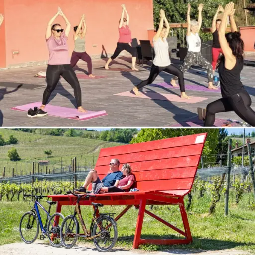 Equilibrio tra Vigne: E-bike, Yoga e Vino